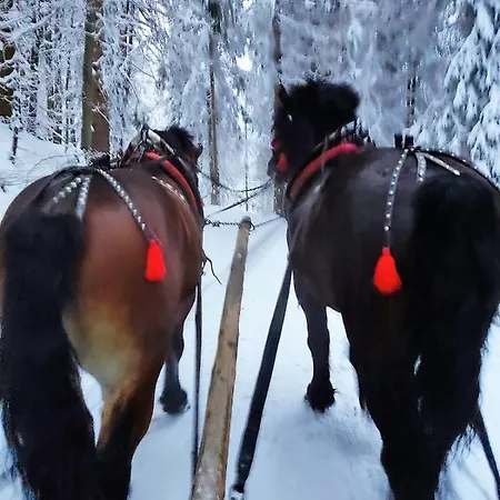 Wierchy Beskidu * Dobra (Limanowa)