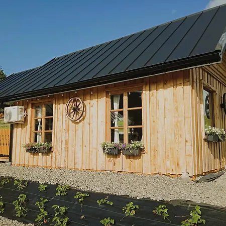 Wierchy Beskidu Holiday home Dobra (Limanowa)