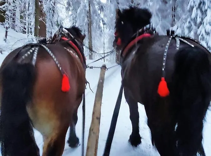 Wierchy Beskidu * Dobra (Limanowa)